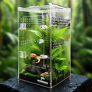 Cajas <span class=keywords><strong>de</strong></span> exhibición <span class=keywords><strong>de</strong></span> acrílico personalizadas al por mayor <span class=keywords><strong>de</strong></span> fábrica para tarántulas, insectos, <span class=keywords><strong>mantis</strong></span>, caracoles y orugas - Product Image 1