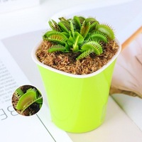 Pot de fleurs carré en plastique PP, écologique et durable, idéal pour la décoration de la maison et du jardin, marque Youfeng, modèle YF-A020, vente en gros.