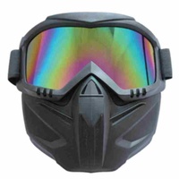 Masque de protection avec lunettes anti-vent et anti-poussière, idéal pour les activités de plein air