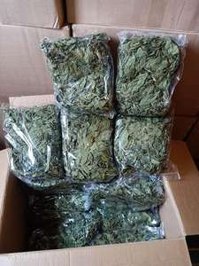 Molokhia séchée et concassée, matière première brute, provenant directement de l'usine, d'El Ekhlas, Égypte - Product Image 6