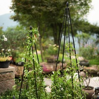 Wärmebehandelter Metall-Pflanzenstützkäfig mit Verzinkter PVC-Beschichtung Einfache Montage Obelisk Garten-Rankgitter für Klettertomaten