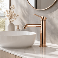 Robinet de lavabo en laiton à poignée unique AMAXO, Robinet de lavabo de salle de bain monotrou, Robinet mélangeur de lavabo de salle de bain, Cartouche céramique