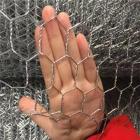 Filet en acier galvanisé revêtu de PVC hexagonal à armure simple tissé pour volailles et oiseaux, découpe/soudage pour l'agriculture, fabriqué dans le comté d'Anping
