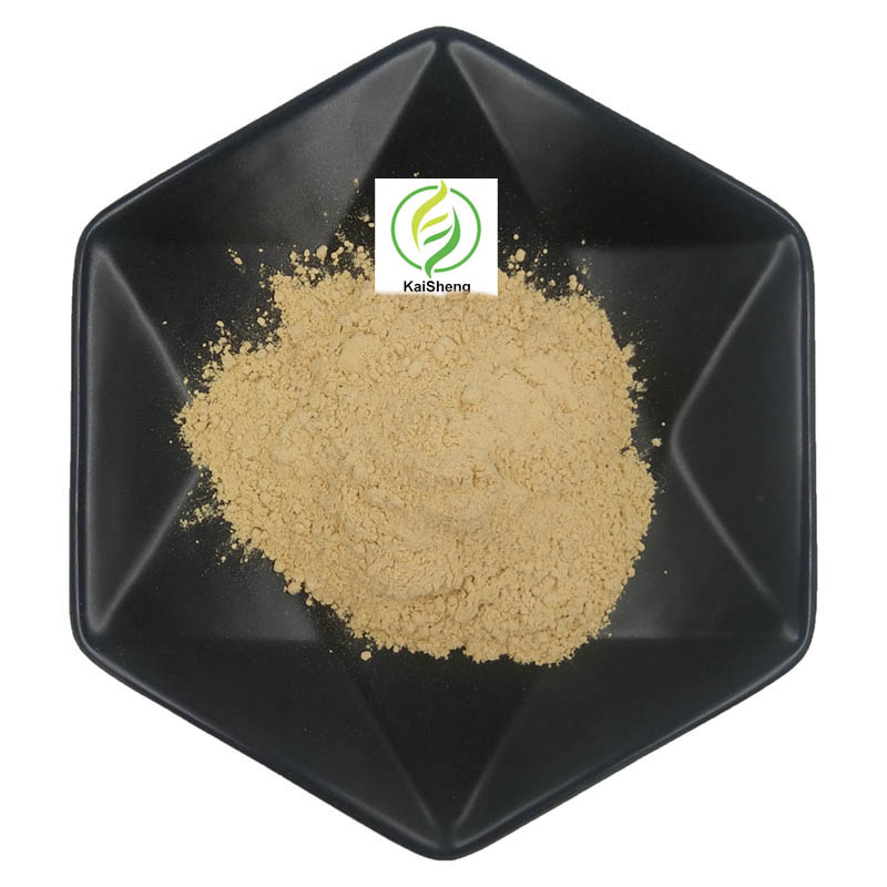 Food Grade 90% Zuiver Additief In Water Oplosbare Chitosan Oligosacharide Poeder Chitosan Oligosachariden