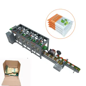Horizontal Food Snacks Pouches Carton Packing Machine Auto Case Flow Packer