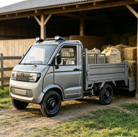 Pick-up et fourgon électrique à 4 roues, nouvelle énergie, moteur haute puissance, autonomie de 100 km, robuste pour le transport agricole
