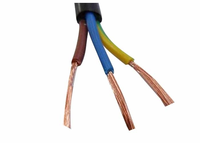 Elektrische Kabel RVV/RVVP 99,9% Reines Kupfer Isoliertes Flexibles PVC-Mantel Kabel für Bauzwecke 3*2,5mm 0,6/1KV 100m