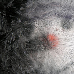 Whjj Koude Ijsspray Op Maat Gemaakte Label Deep Cold <span class=keywords><strong>Spray</strong></span> Milieuvriendelijke Multifunctionele Instant Ijsvrieskoeling Voor Festivalgebruik - Product Image 5