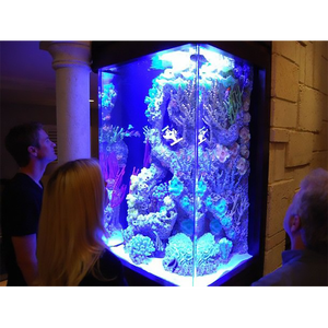 生きている海洋の美しくてユニークなアクリルフィッシュボウル、人魚のための巨大な水族館 # - Product Image 2