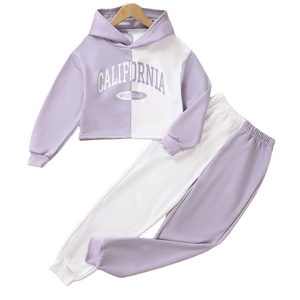 Gran oferta de ropa para niñas y niños, conjuntos de chándal multicolor, conjuntos de ropa para niños, trajes de otoño - Product Image 1