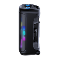 Enceinte portable sans fil professionnelle 100W, son puissant, longue autonomie, spectacle de lumière RGB, basses profondes, enceinte de fête