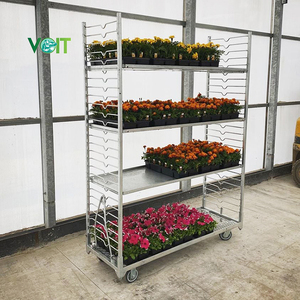 Chariot démontable galvanisé plongé chaud horticole de jardin de transport pour des usines - Product Image 4