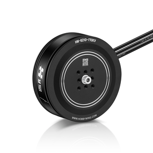 उच्च मानक 6210 / 6215 ब्रशलेस डीसी मोटर डी ड्रोन मोटर ब्लेड 6s 12s <span class=keywords><strong>2</strong></span>.5 किलोग्राम/रोटर उव ड्रोन मोटर - Product Image 1