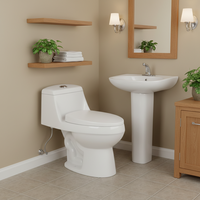 WC monobloc économique à double chasse avec lavabo sur pied intégré, suite d'articles sanitaires pour salle de bain/lavabo