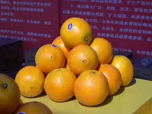 2023 Neue Ernte von frischen Nabel orange Mandarine Orangen frisches Obst Valencia Orangen aus China für den Großhandel