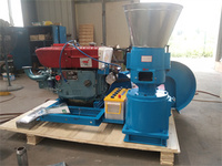 Petite Machine à granulés d'alimentation Diesel domestique, presse à granulés, moteur Diesel 22hp, broyeur à granulés de biomasse