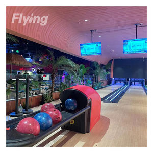 Machine de <span class=keywords><strong>bowling</strong></span> de haute qualité pour adultes, prix d'usine, équipement de <span class=keywords><strong>bowling</strong></span>, jeu multijoueur - Product Image 2