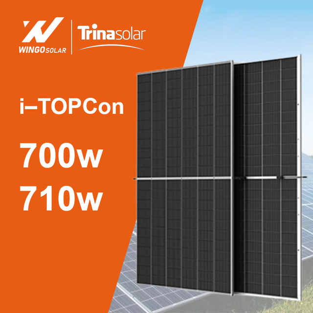 Tier 1 Brand Trina NEG21C.20 700W 710W N Type Double Glass Solar Panel for Solar System