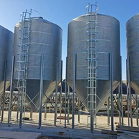 Silo a Fondo Conico Piccolo da 1.1T, 2.2T, 4.4T, 8.8T, 17.6T, Cono a 60 Gradi in Acciaio Zincato, Grande Capacità per Applicazioni Complete