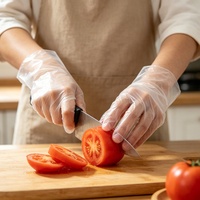 Gants en polyéthylène sans latex imperméables à l'huile de qualité alimentaire Gants TPE à texture circulaire jetables transparents pour la transformation des aliments