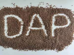 Engrais liquide organique granulaire Npk d'acide humique d'<span class=keywords><strong>osmocote</strong></span> de racine agricole chimique pour des plantes et des légumes - Product Image 2