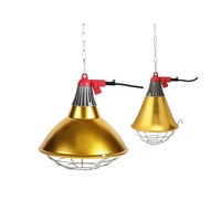 Offre Spéciale lampe chauffante étanche à gradation continue 250w 175w lampe de couvage pour volaille animaux incubateur infrarouge abat-jour