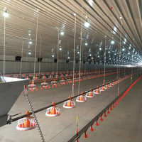 Vente en gros de nouveaux équipements pour poulailler aviculture en acier structurel industriel automatique pour poules pondeuses