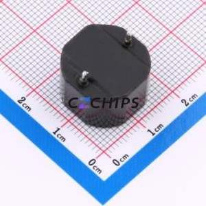 Inductor de Potencia PDPMAA1712-220MP, Componente de Montaje en Orificio (THT), P=13mm 22uH 20% 13A 19A - Product Image 2