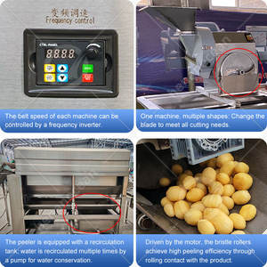 Ligne de production industrielle OCEAN de <span class=keywords><strong>frites</strong></span> surgelées, machine de fabrication de chips de pommes de terre à petite échelle - Product Image 4