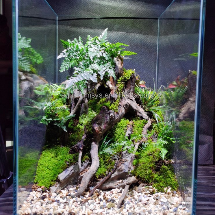 Aquascaping Rotsen ASWP2204-06 Waterplanten Decoratie Voor Aquarium Aquarium Accessoires Huisdier Producten