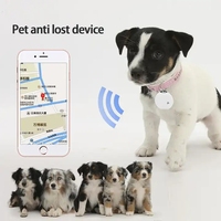 Mini Alarme Antiperte Bluetooth, Traceur GPS en Temps Réel pour Animaux de Compagnie, Dispositif de Localisation Tuya Smart Tag et Porte-Clés Intelligent pour Android