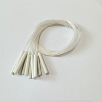 Precio barato Clase A/B Mini elementos de termómetro de resistencia de cerámica con cable de PTFE