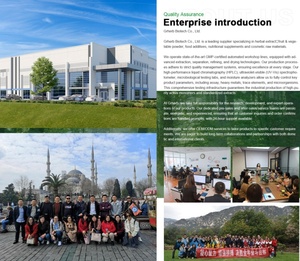 Cung cấp Nhà Máy Giá <span class=keywords><strong>gotu</strong></span> <span class=keywords><strong>kola</strong></span> hydrocotyle asiatica Centella asiatica chiết xuất bột 10% asiaticoside madecassoside - Product Image 5