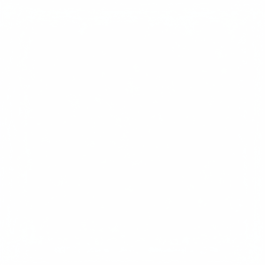 Suministro de Árboles de Levas y Cojinetes de Biela para Hyundai/Kia, Modelos 2102026425 2102026962 21020-26985 - Product Image 1