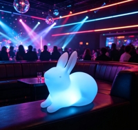 CAIQI Lampe LED Lumineuse Lapin Étanche Rechargeable Multicolore Décoration Extérieure Halloween Noël Paysage