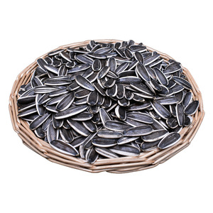 Graines <span class=keywords><strong>de</strong></span> <span class=keywords><strong>tournesol</strong></span> brutes <span class=keywords><strong>de</strong></span> qualité supérieure en coque, 100 % naturelles, non torréfiées, non salées, vente en gros directe d'usine, personnalisables OEM - Product Image 2