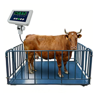 Báscula para Animales de 500kg-3000kg con Indicador B19 RS232 para Uso Agrícola OEM/ODM, Acero Resistente, Precisión de 100g