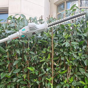 Taille-Haie Électrique sur <span class=keywords><strong>Perche</strong></span> 40V 2m, Batterie Lithium, Élagage en Hauteur, Scie à <span class=keywords><strong>Perche</strong></span> sans Fil - Product Image 2