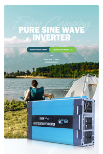 Offre Spéciale – Système Solaire Éolien Monophasé Hors Réseau 2000W/1000W – Énergie Verte Pure – I Flyt-CZ-B 24V - Product Image 6