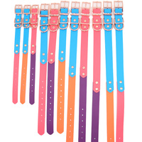 Ensemble de laisse pour collier pour animaux de compagnie de couleurs mélangées imperméables résistant aux intempéries en cuir enduit de PVC pour chiens colliers solides BREAKAWAY pour chiens en plastique