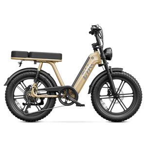 Nuova Bici Elettrica da Città per Donne e Adulti, con Pneumatici Fat, 750W 250W, Disponibile nel Magazzino Europeo - Product Image 5