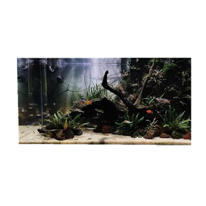 Thuis <span class=keywords><strong>Aquarium</strong></span> Decoratie Met <span class=keywords><strong>3D</strong></span> Hd <span class=keywords><strong>Wallpaper</strong></span> - Product Image 1