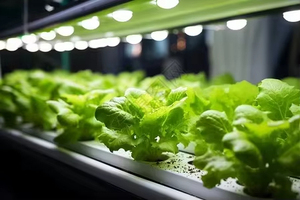 Hydroblue thông minh dọc thủy canh phát triển hệ thống tự động <span class=keywords><strong>container</strong></span> trang trại nhà kính thiết bị lá rau bơm lõi - Product Image 6