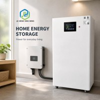 Système de stockage d'énergie domestique mural à batterie solaire LiFePO4 48V 200Ah 10,24 kWh avec BMS pour alimentation de secours hors réseau 51,2V