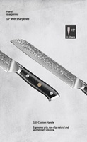 6,7-inch Japans koksmes Damascus staal gekarteld lemmet drie-functies dubbelzijdig slijpend V-vormig lemmet ambidexter