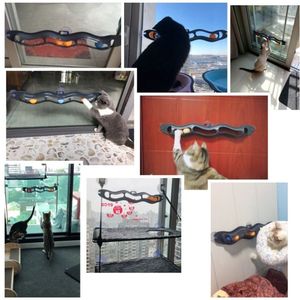 Giocattolo Ecologico per Gatti da Finestra, Mantiene Divertente il Tuo <span class=keywords><strong>Amico</strong></span> Felino - Product Image 5