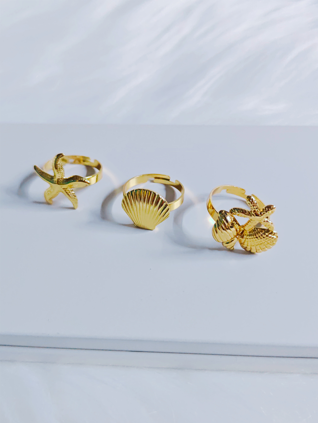 starfish shell conch