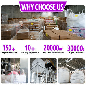 <span class=keywords><strong>Litière</strong></span> pour chat en sable minéral mélangé, de haute qualité, à agglomération rapide, anti-odeur, best-seller - Product Image 6