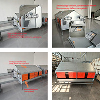 Pondoir automatique en acier galvanisé pour poules pondeuses, anti-roulement des œufs, pour grandes fermes avicoles