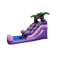 Glissière gonflable de videur de glissière sèche humide commerciale de PVC avec la glissière de parc aquatique de piscine
